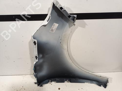Left front fenders RENAULT SCÉNIC III (JZ0/1_) 1.5 dCi | BP21499885C41 