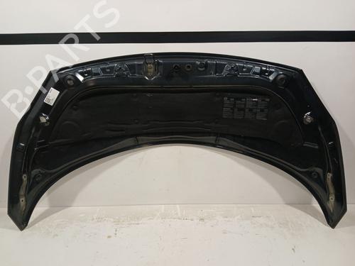 Hood RENAULT SCÉNIC II (JM0/1_) 1.9 dCi (JM14) | BP22251770C1 