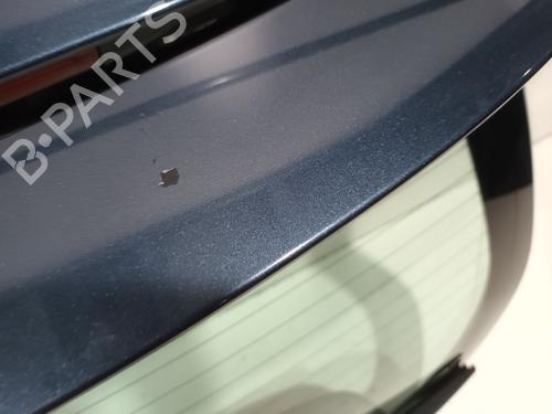 Bakluke CC/Kombi-Kupé VOLVO C30 (533) 1.8 FlexFuel | BP30455314C6