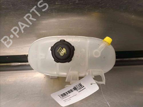 Used Expansion tank RENAULT TRAFIC III Van (FG_) [2014-2025]  21139040