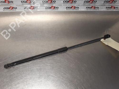 Used Tailgate lift support MERCEDES-BENZ A-CLASS (W169) A 180 CDI (169.007, 169.307) (109 hp) 14868224