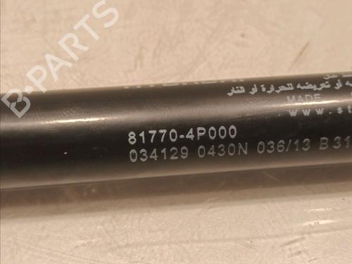 Tailgate lift support HYUNDAI i20 I (PB, PBT) 1.1 CRDi | BP16430541C138 