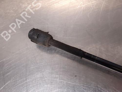 Tailgate lift support PEUGEOT 5008 (0U_, 0E_) 2.0 HDi 150 / BlueHDi 150 | BP14868014C138