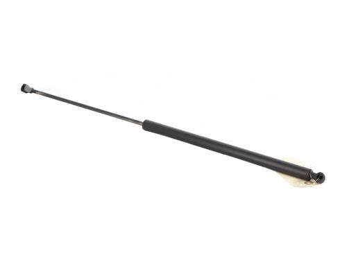 Tailgate lift support CITROËN XSARA PICASSO (N68) 2.0 HDi | BP27172221C138 
