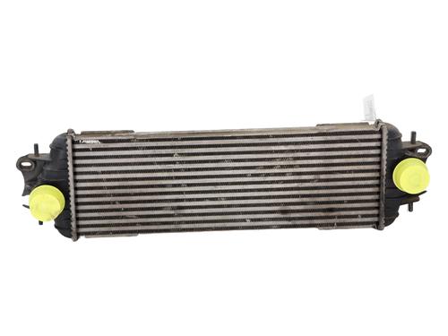 Used Intercooler RENAULT TRAFIC II Bus (JL) 1.9 dCI 80 (JL0B) (82 hp) 23255166