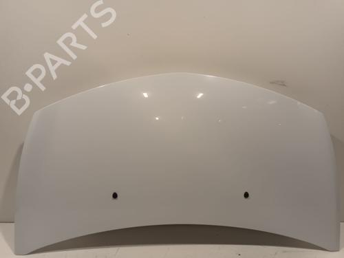 Used Hood RENAULT CLIO III (BR0/1, CR0/1) 1.5 dCi (BR17, CR17) (86 hp) 30120573