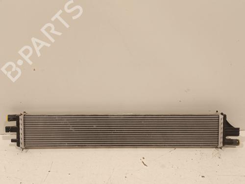 Used Water radiator RENAULT MASTER III Van (FV) [2010-2026]  32131985
