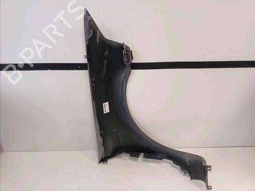 Left front fenders RENAULT LAGUNA II (BG0/1_) 1.9 dCi (BG08, BG0G) | BP20602691C41 