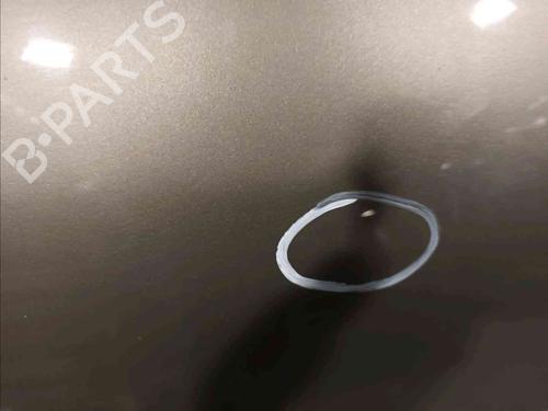 Hood CITROËN C4 Grand Picasso I (UA_) 1.6 HDi | BP25780146C1