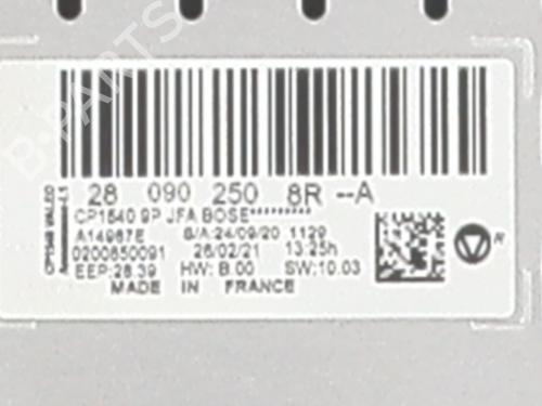 Display RENAULT SCÉNIC IV (J9_)  | BP28109788C48 
