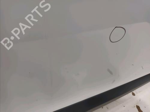 Right front door RENAULT MEGANE III Hatchback (BZ0/1_, B3_) 1.5 dCi | BP17551725C3 