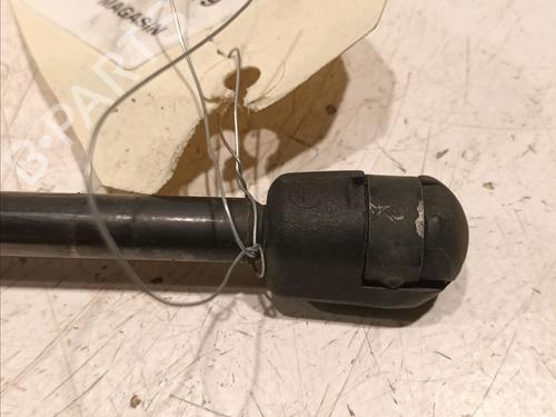 Tailgate lift support LAND ROVER RANGE ROVER SPORT I (L320) 2.7 D 4x4 | BP18204345C138 