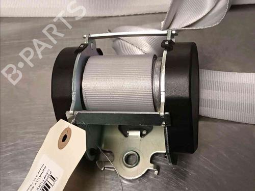 Rear right belt tensioner RENAULT SCÉNIC III (JZ0/1_) 2.0 dCi (JZ0Y, JZ26) | BP20603856C90 