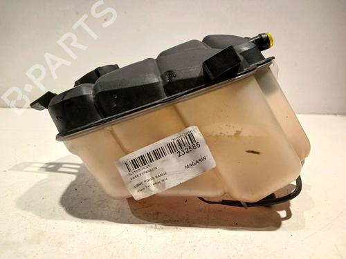 Used Expansion tank LAND ROVER RANGE ROVER EVOQUE (L538) 2.2 D 4x4 (150 hp) 17775895