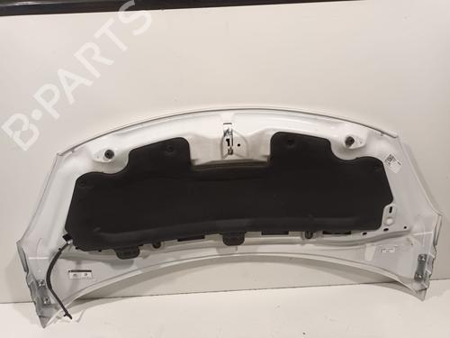 Hood CITROËN C3 II (SC_) 1.6 BlueHDi 100 | BP29820544C1