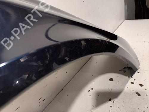 Right front fenders RENAULT LAGUNA II (BG0/1_) 1.9 dCi (BG1A, BG1V) | BP20930971C42 