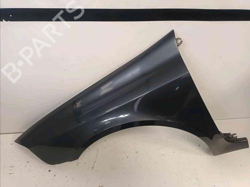 Used Left front fenders RENAULT LAGUNA II (BG0/1_) 1.9 dCi (125 hp) 20603027