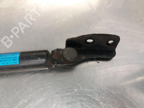 Used Tailgate lift support MAZDA PREMACY (CP) 2.0 TD (101 hp) 20610193