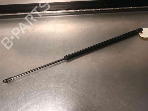 Used Tailgate lift support NISSAN JUKE (F16_) DIG-T 117 (117 hp) 21139078