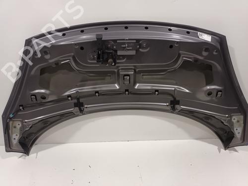 Hood RENAULT SCÉNIC III (JZ0/1_) 1.2 TCe | BP26644861C1