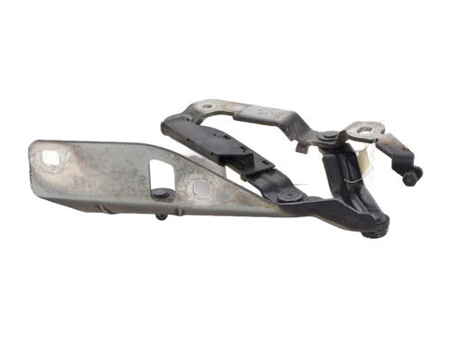 Hinge/Door check strap AUDI TT (8J3) 2.0 TDI quattro | BP21565661C146 