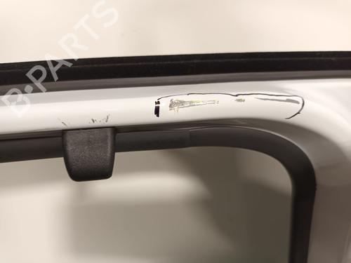 Left rear door RENAULT SCÉNIC IV (J9_) | BP32259302C4