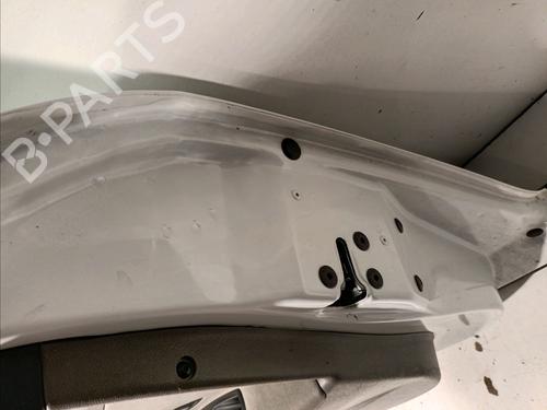 Right front door RENAULT MEGANE III Hatchback (BZ0/1_, B3_) 1.5 dCi | BP17551725C3 
