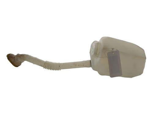 Windscreen washer tank RENAULT SCÉNIC II (JM0/1_) 1.5 dCi (JM1E, JM16) | BP27336260C113 