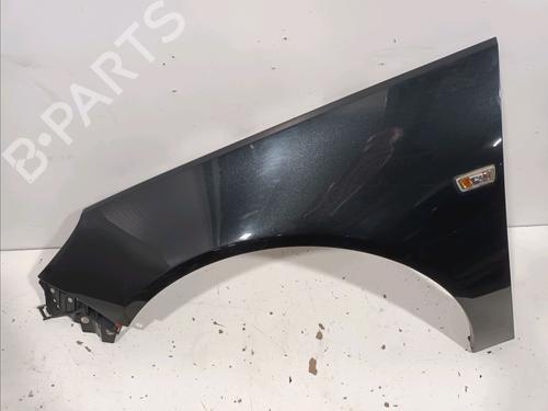 Left front fenders OPEL INSIGNIA A (G09) 2.0 CDTI (68) (131 hp) 17656741