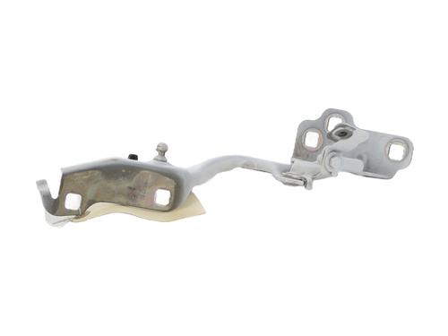 Hinge/Door check strap RENAULT TRAFIC III Van (FG_)  | BP27587024C146 