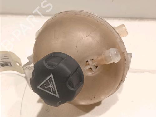 Expansion tank PEUGEOT 308 II (LB_, LP_, LW_, LH_, L3_) 2.0 GT BlueHDi 180 | BP16706920C120 