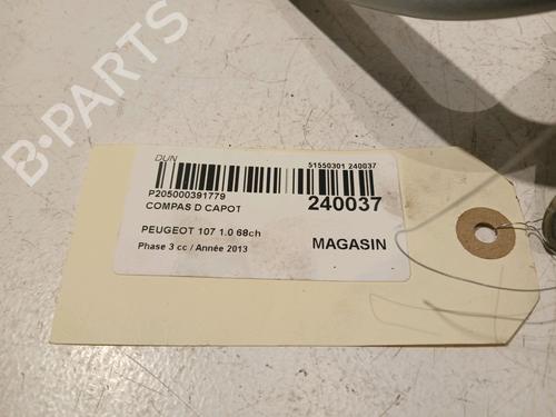 Hinge/Door check strap PEUGEOT 107 (PM_, PN_) 1.0 | BP17909930C146 