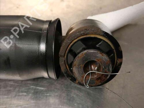 Right rear shock absorber RENAULT SCÉNIC III (JZ0/1_) 1.6 dCi (JZ00, JZ12) | BP20723430M19 