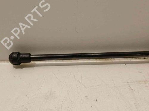 Tailgate lift support DACIA DUSTER (HS_)  | BP20605469C138 