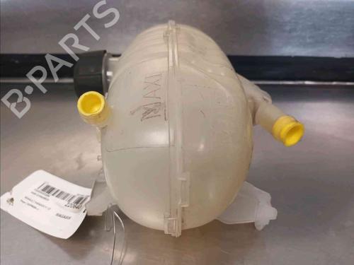 Expansion tank RENAULT KANGOO Express (FW0/1_)  | BP21781947C120 