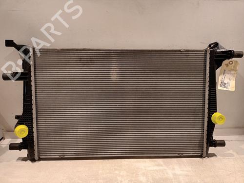 Køler RENAULT SCÉNIC III (JZ0/1_) 1.6 dCi (JZ00, JZ12) (130 hp) 29021157