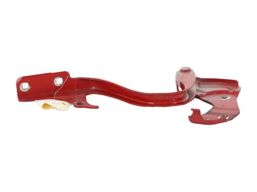 Hinge/Door check strap FIAT 500 (312_) 1.3 D Multijet (312AXE1A) | BP24167607C146