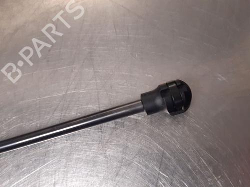 Tailgate lift support DACIA SANDERO II 1.0 TCe 100 (B8ML) | BP20601078C138