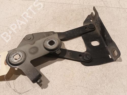 Used Hinge/Door check strap LAND ROVER RANGE ROVER SPORT I (L320) 3.6 D 4x4 (272 hp) 21378718