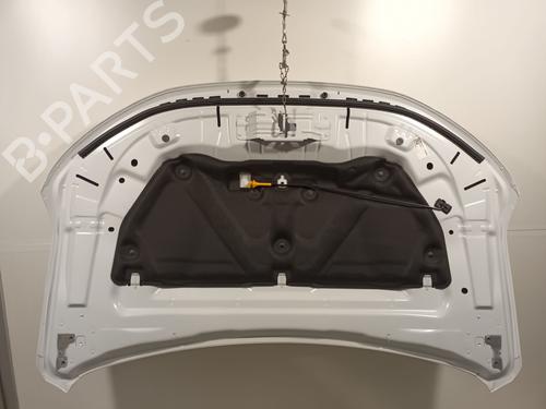 Capot RENAULT SCENIC E-TECH PHASE I EV87 | BP31939180C1