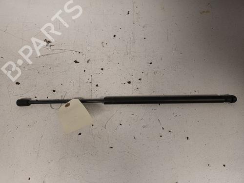 Used Tailgate lift support RENAULT SCÉNIC II (JM0/1_) 1.5 dCi (JM1E, JM16) (106 hp) 14868302