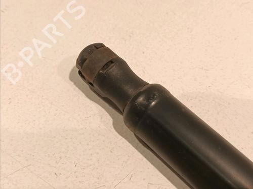 Tailgate lift support LAND ROVER RANGE ROVER SPORT I (L320) 2.7 D 4x4 | BP18204345C138 