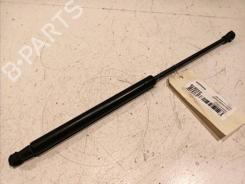 Used Hood lift support LAND ROVER RANGE ROVER SPORT I (L320) 2.7 D 4x4 (190 hp) 18204209