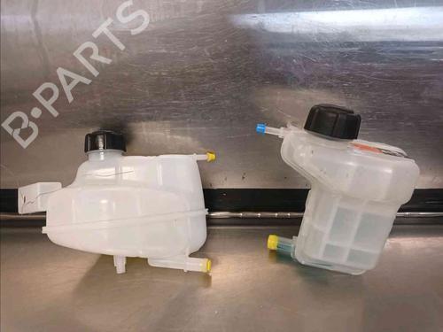 Used Expansion tank NISSAN QASHQAI II (J11, J11_) [2013-2025]  21781898