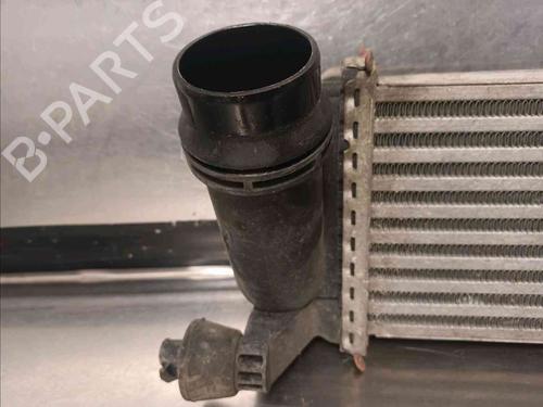 Intercooler MERCEDES-BENZ CITAN Box Body/MPV (W415)  | BP21686050M30 