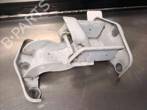 Hinge/Door check strap RENAULT TRAFIC III Van (FG_)  | BP20602348C146 