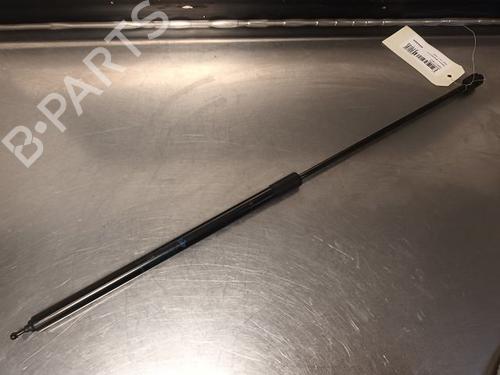 Used Hood lift support RENAULT MEGANE CC (EZ0/1_) 1.4 TCe (EZ0F, EZ1V) (131 hp) 21605066