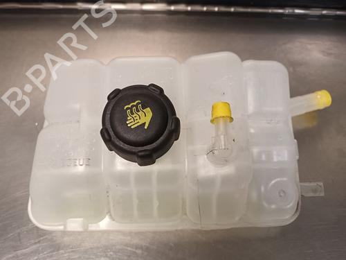 Used Expansion tank RENAULT SPORT SPIDER (EF0_) [1995-1999]  24879995