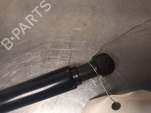 Tailgate lift support NISSAN MICRA V (K14)  | BP21139032C138