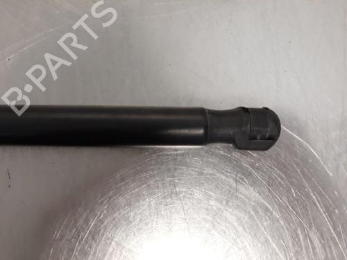 Hood lift support VOLVO C30 (533) 1.6 D | BP14866180C139 